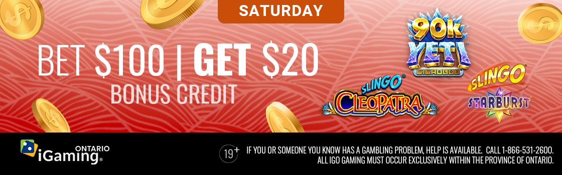 PlayFallsview | Bet $100 Get $20 Bonus Credit on Slingo Slots