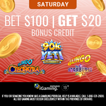 PlayFallsview | Bet $100 Get $20 Bonus Credit on Slingo Slots
